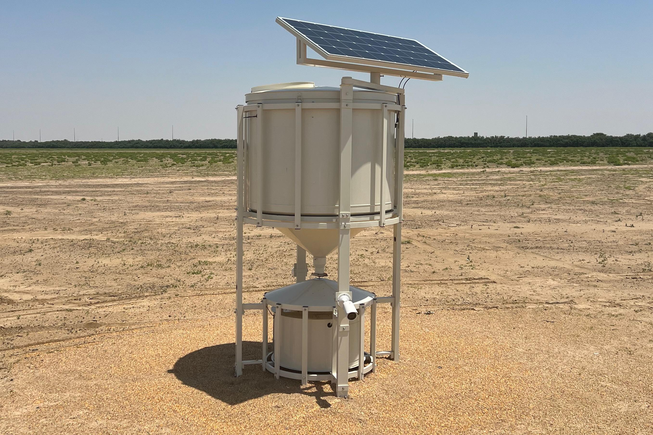 Mngar – AI Powered Bird Feeder
